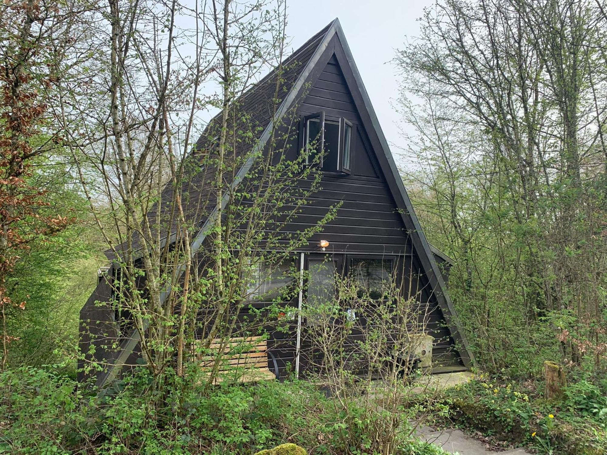 Heerlijk Vakantiehuis In Bos Bij 杜柏 外观 照片