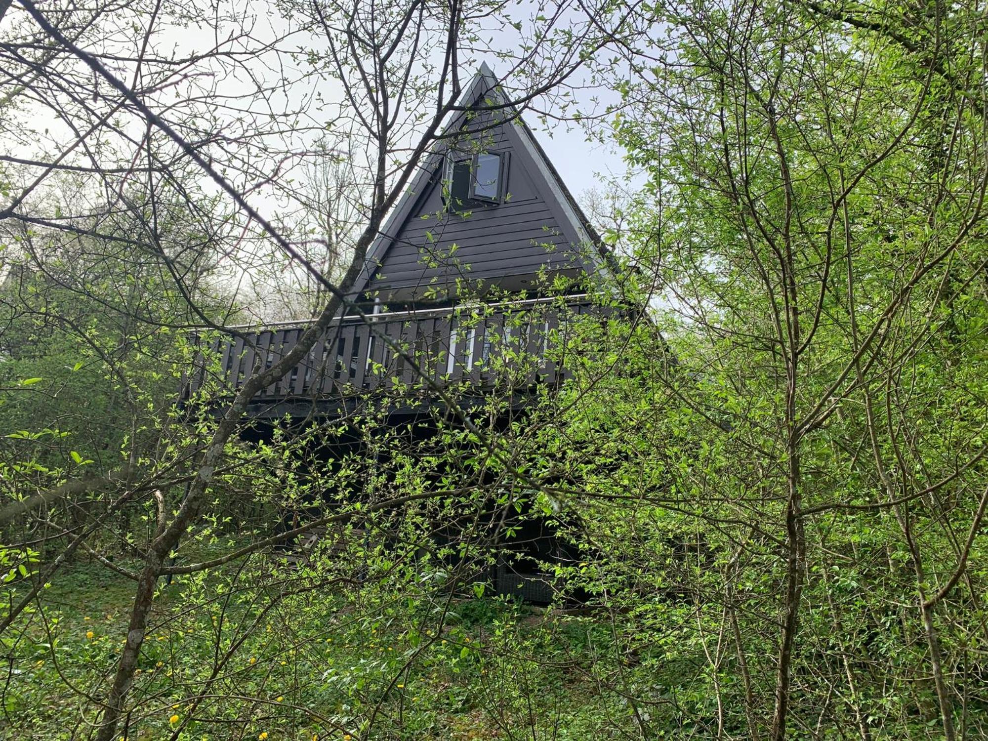 Heerlijk Vakantiehuis In Bos Bij 杜柏 外观 照片
