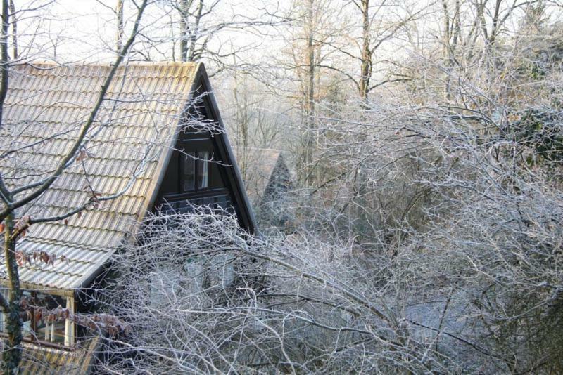 Heerlijk Vakantiehuis In Bos Bij 杜柏 外观 照片